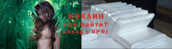 соль ск Белокуриха