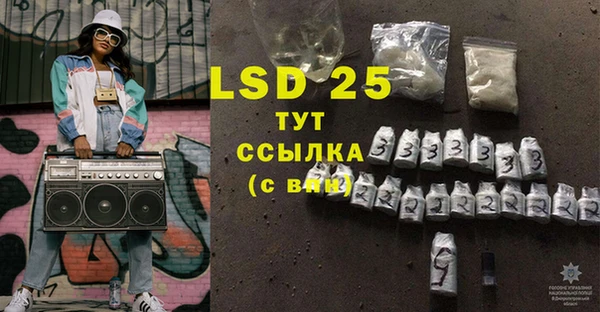PSILOCYBIN Богданович