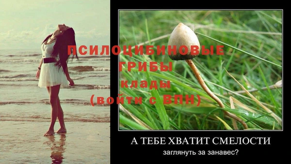 соль ск Белокуриха