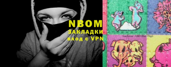 соль ск Белокуриха