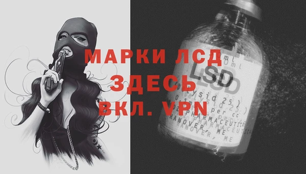 apvp Богородицк