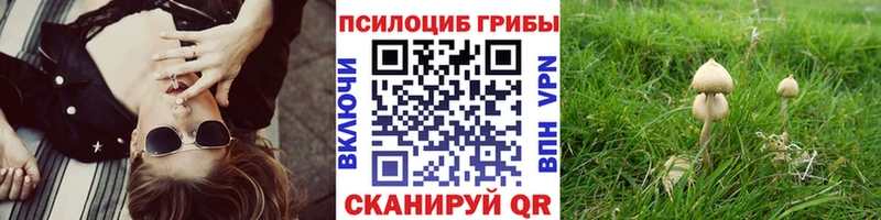 дарк нет формула  Бугульма  Галлюциногенные грибы Psilocybe  наркота 
