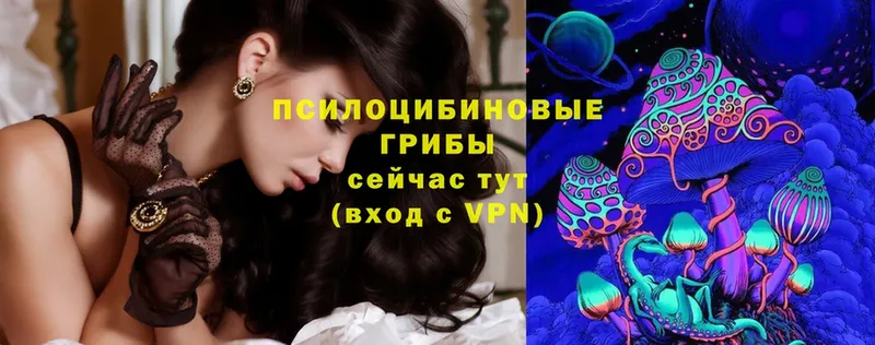 Галлюциногенные грибы Psilocybe Бугульма