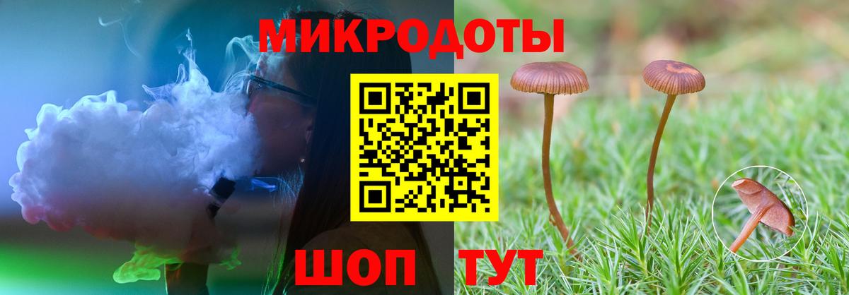Бугульма  Псилоцибиновые грибы прущие грибы  Вход с VPN 
